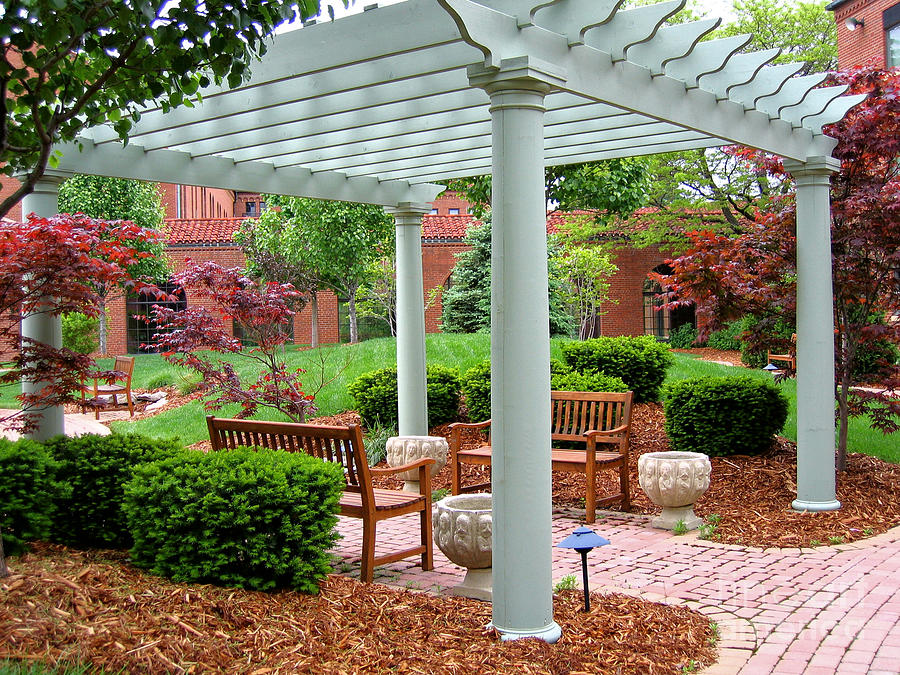 Tranquil Courtyard Photograph