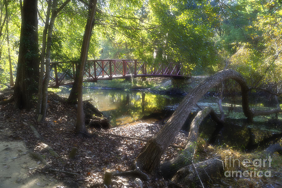 Tranquil Creek with Footbridge in October Photograph by MM Anderson