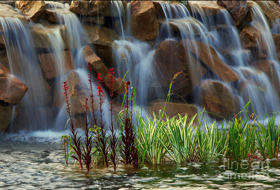 Tranquil Falls Photograph by Robert Pilkington