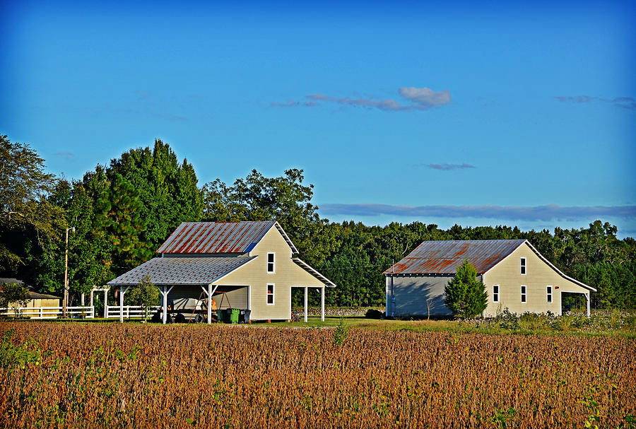Tranquil Farm Photograph by Linda Brown