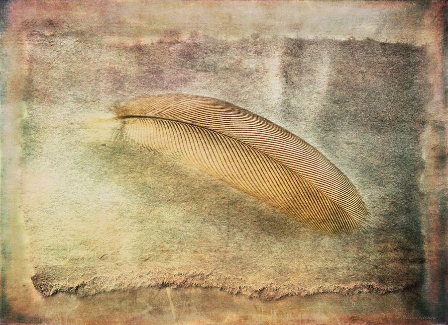 Tranquil Feather Photograph by Melissa Bittinger