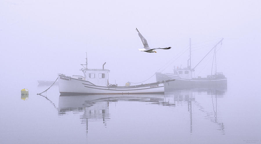 Tranquil Morning Fog Photograph by Marty Saccone