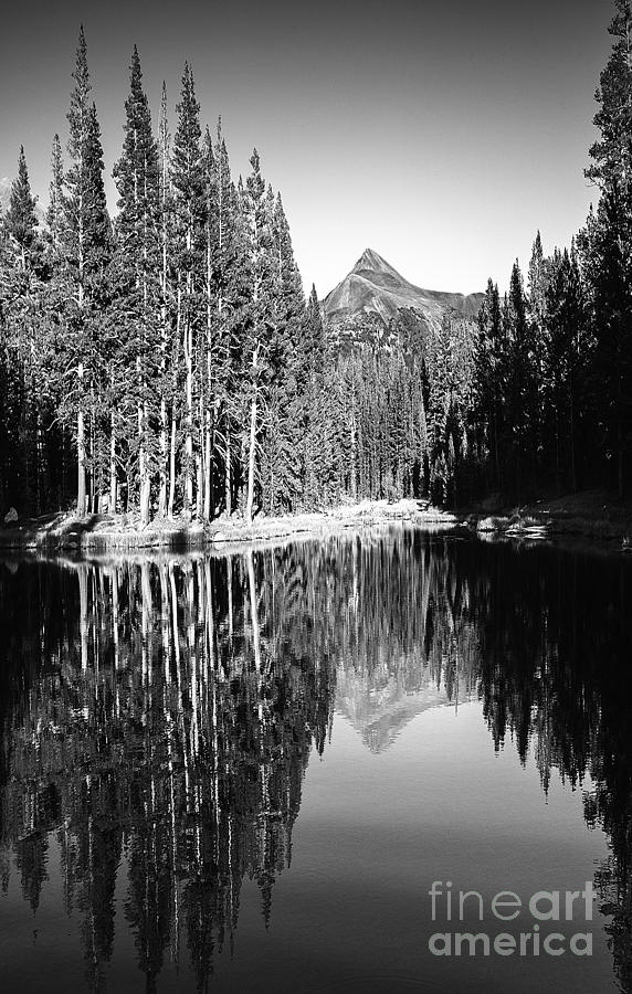 Tranquil Lake Reflections Tuolumne Meadows Mountain Pine Trees Yosemite National Park Black And Whit Photograph by Jerry Cowart