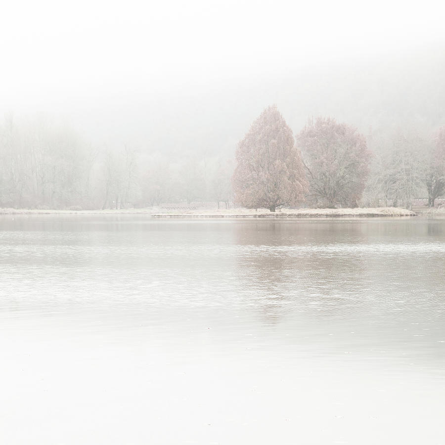 Tranquil Lake Scene Photograph by Andipantz