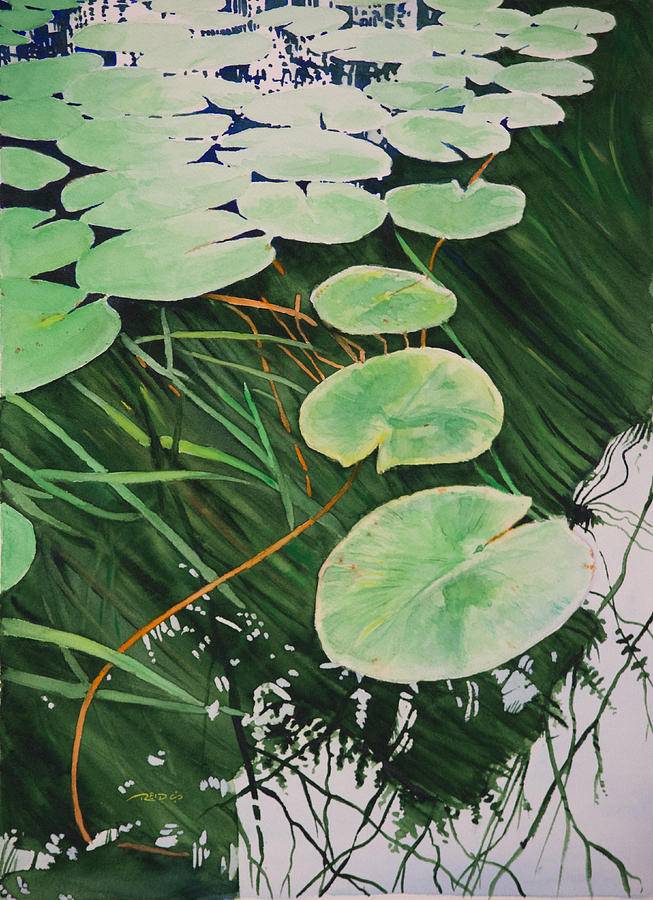 Tranquil Lily Pads Painting by Christopher Reid