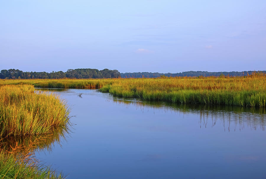 Tranquil Marsh Photograph by Daniela Duncan