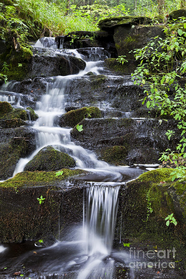 Summer Photograph - Tranquil Mountain Brook by Alan L Graham