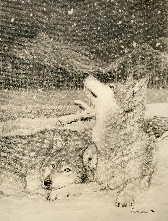 Wolves Drawing - Tranquil Night by Seong Yeol Kim