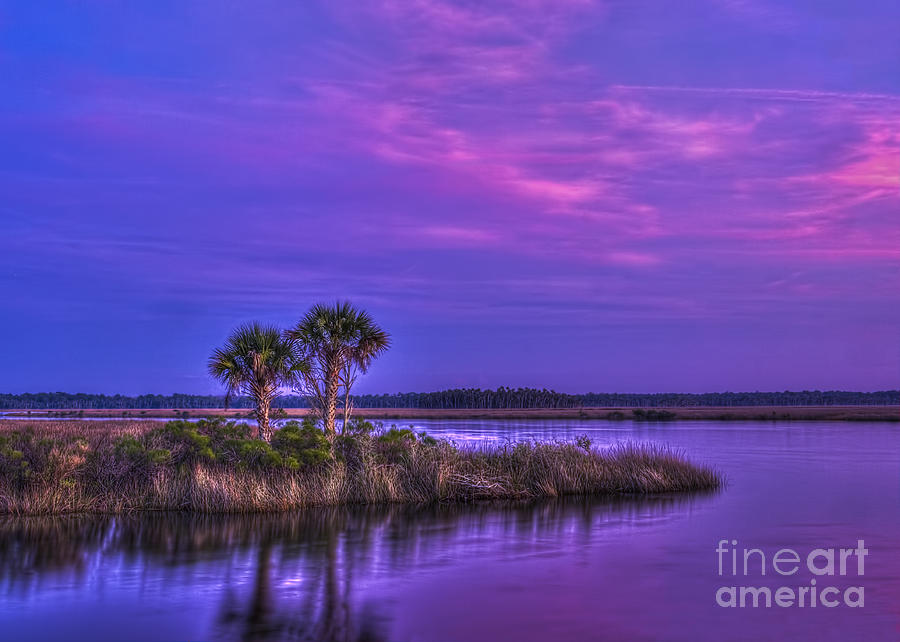 Tranquil Palms Photograph by Marvin Spates