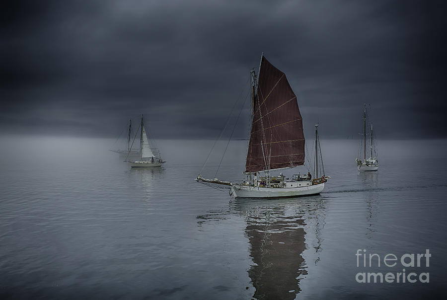 Boat Photograph - Tranquil Sailing by Whidbey Island Photography
