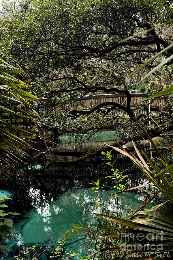 Tranquil Springs Photograph by Susan Smith