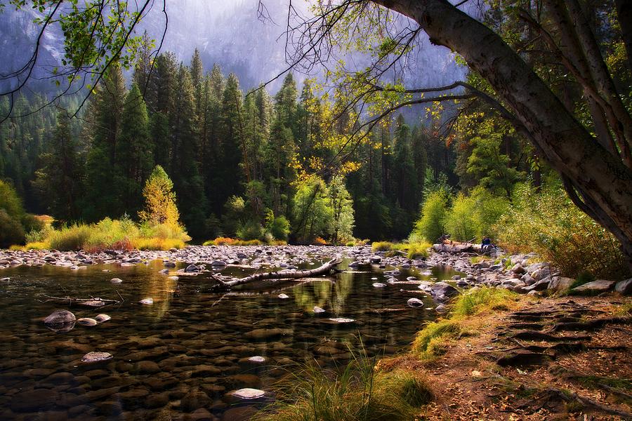 Yosemite National Park Photograph - Tranquil Times by Lynn Bauer