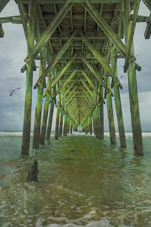 Seagull Photograph - Tranquil Topsail Surf City Pier by Betsy Knapp