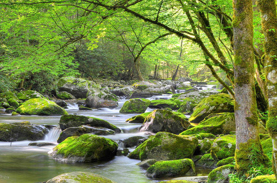 Tranquil Waters Photograph by Mary Anne Baker Fine Art America