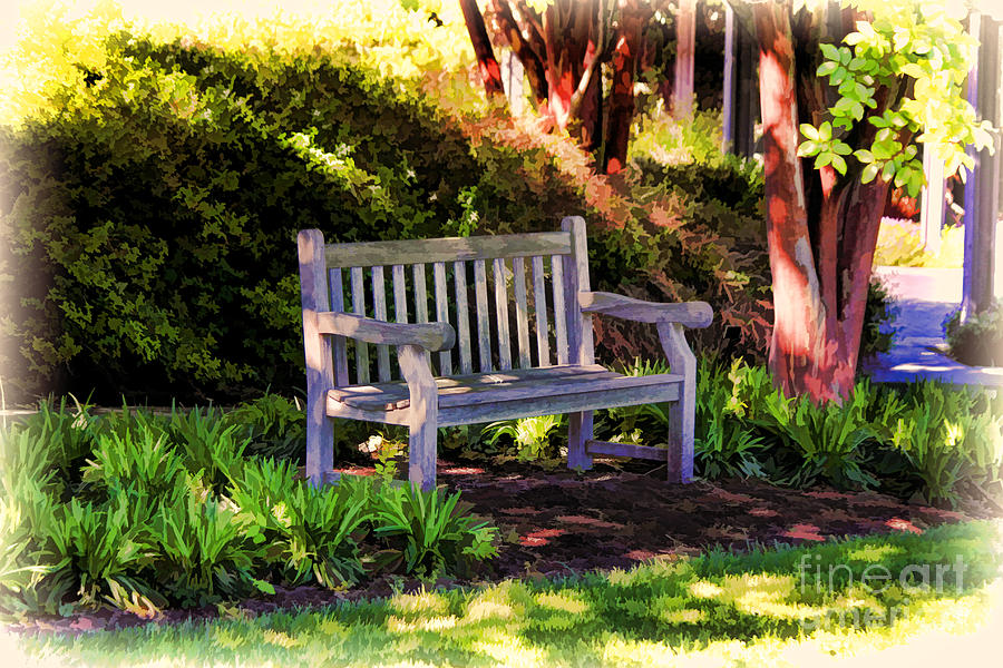 Tranquility In The Park Photograph