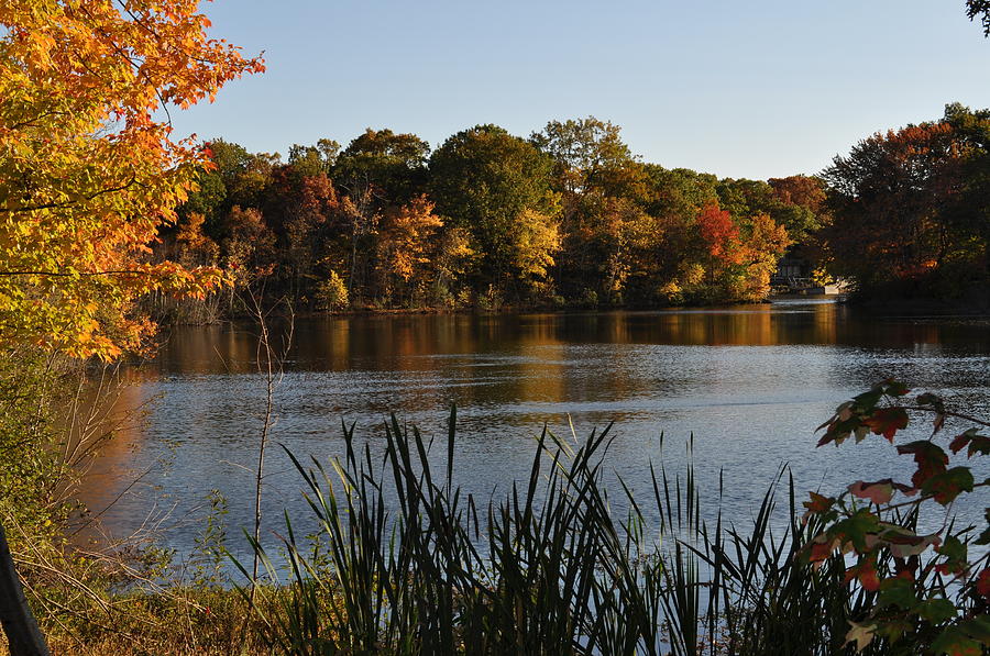 Tranquility on Phipps Lake Photograph by Esther Serkin Fine Art America