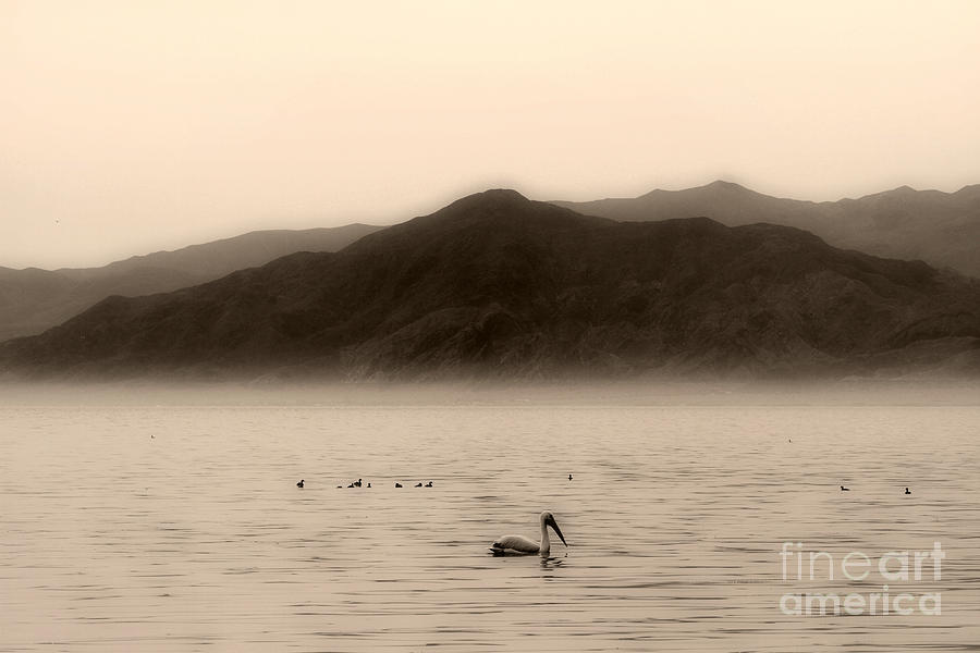 Mountain Photograph - Tranquility on the Salton Sea by Diana Sainz by Diana Raquel Sainz