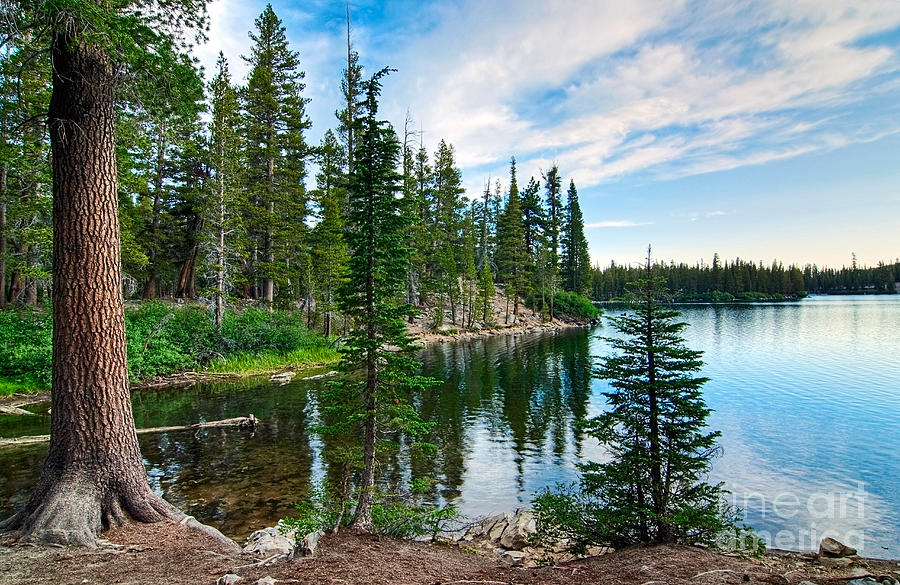 Tranquility - Twin Lakes In Mammoth Lakes California Photograph by ...