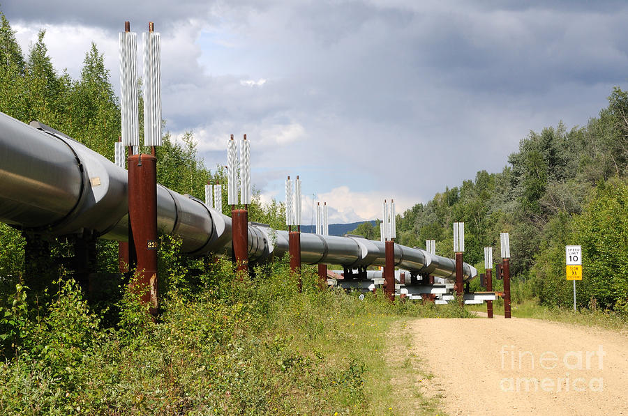 Trans-Alaska Oil Pipeline Fairbanks Photograph by Gary Whitton