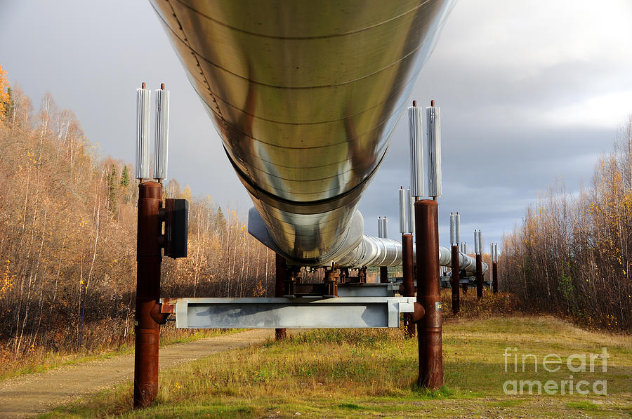 Trans-Alaska Oil Pipeline in the Fall Photograph by Gary Whitton