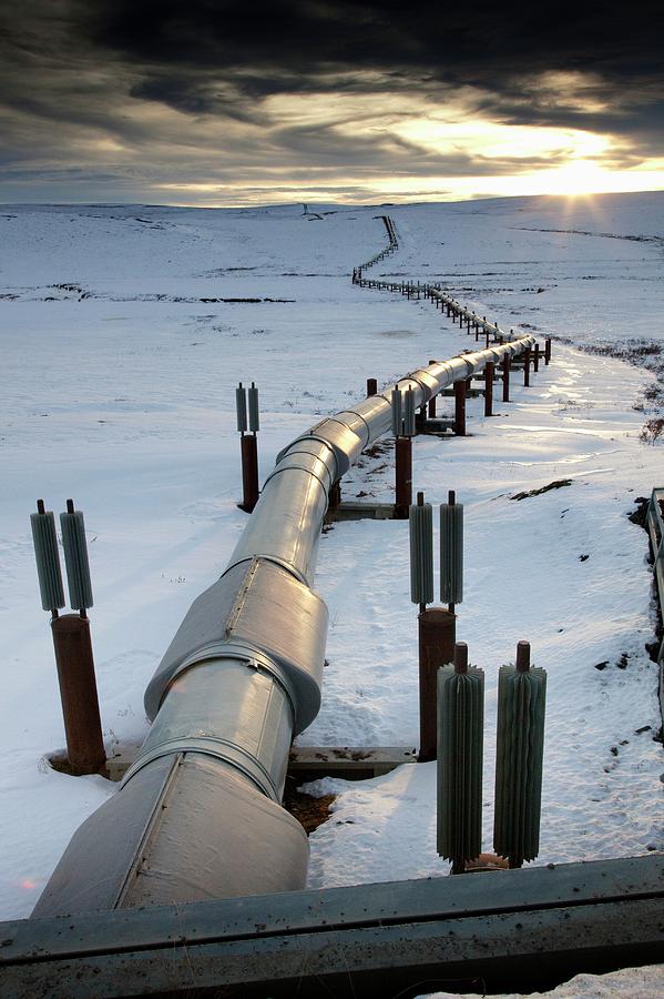 Trans-alaska Pipeline. is a photograph by Chris Madeley which was uploaded ...