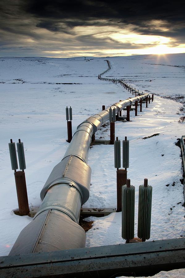 Trans-alaska Pipeline Photograph by Chris Madeley