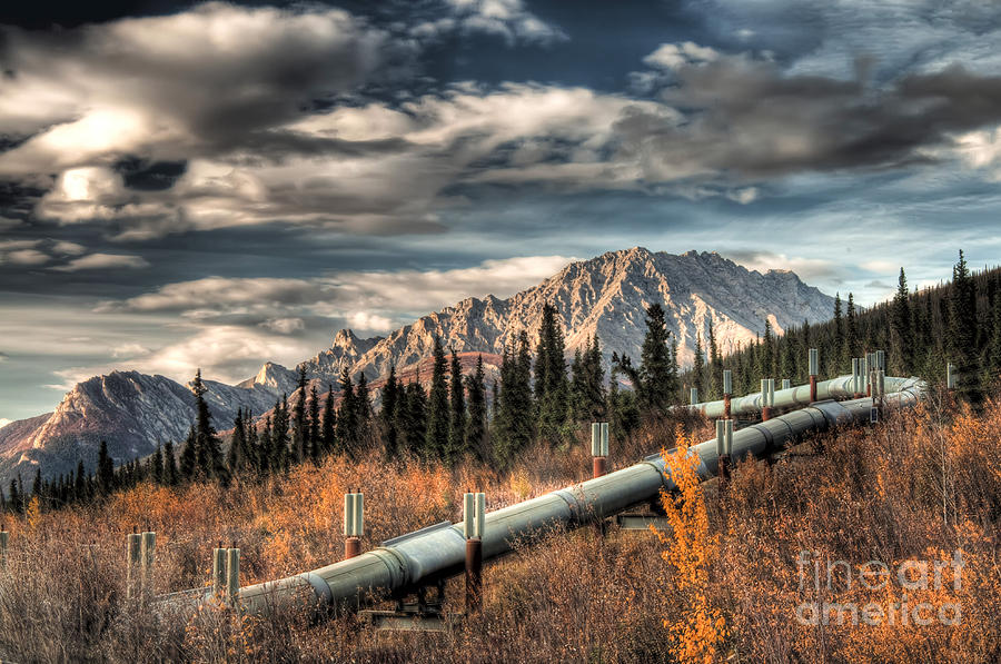 Trans Alaska Pipeline HDR Photograph by Carl Johnson