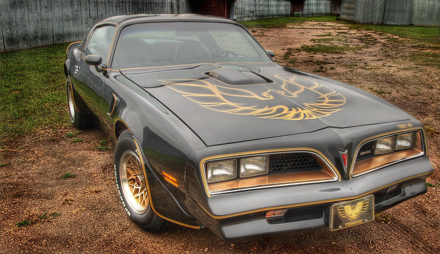 Trans Am 2 Photograph by Thomas Young