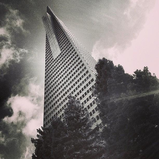 Skyline Photograph - Trans America Building by Jonathan Nguyen