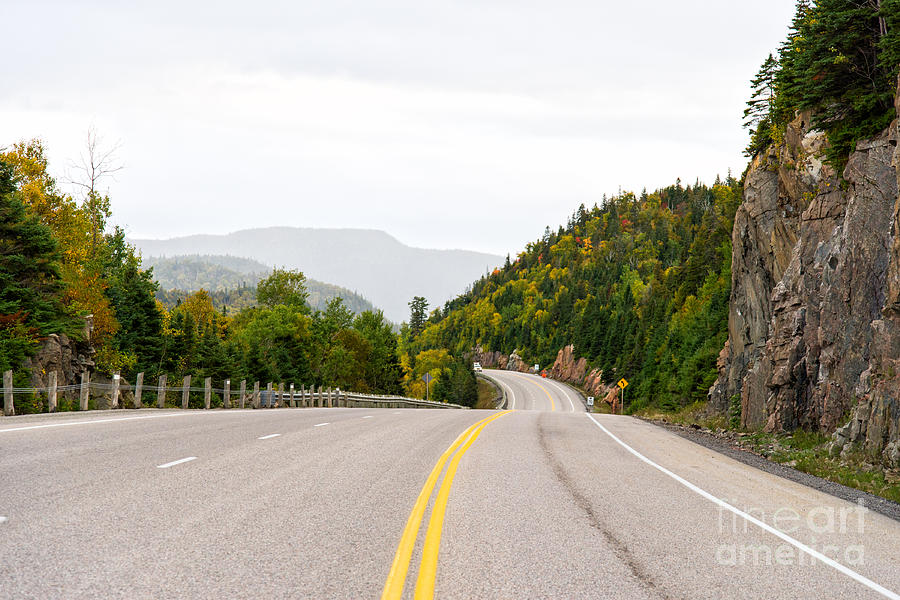 Tree Photograph - Trans-Canada Highway through Lake Superior Park by Les Palenik