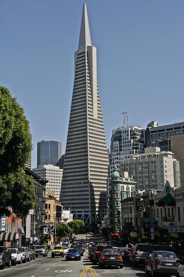 San Francisco Photograph - Transamerica Tower by Steven Lapkin