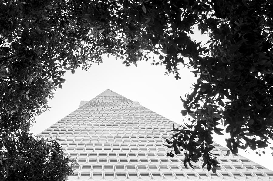Architecture Photograph - TransAmerica Up by Casey Merrill