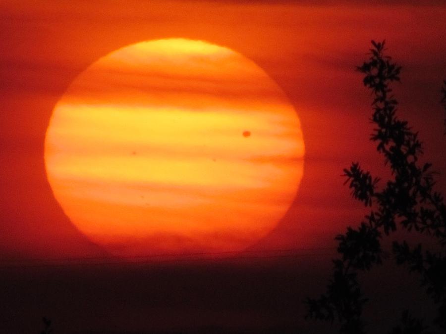 Transit of Venus 2012 Photograph by Shannon Story