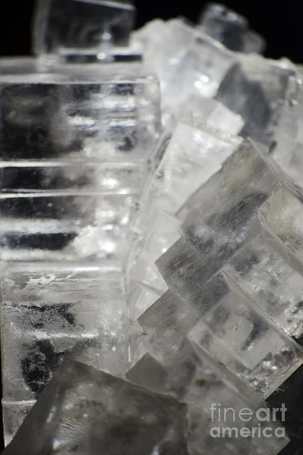 Translucent Halite Rock Salt Crystal Macro Photograph by Shawn OBrien