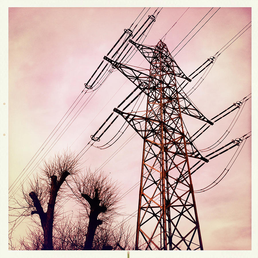 Transmission line with bare trees and red sky Photograph by Matthias Hauser