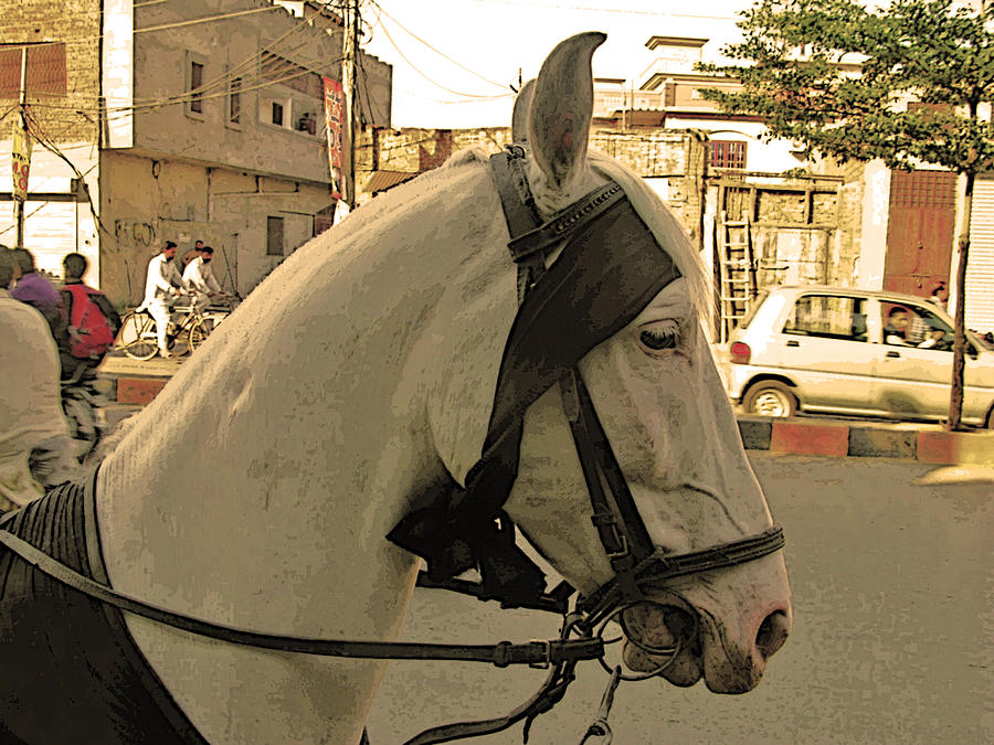Transportation Photograph - Transportation - Pakistan by Lenore Senior