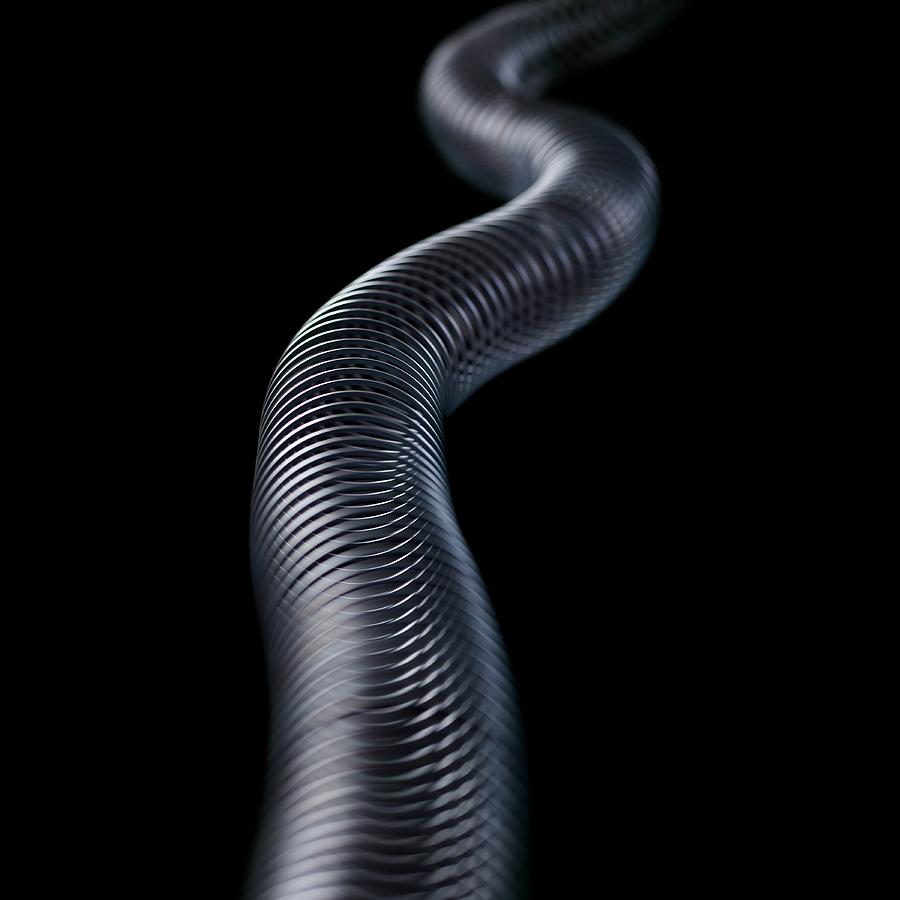 Spring Photograph - Transverse Wave by Science Photo Library