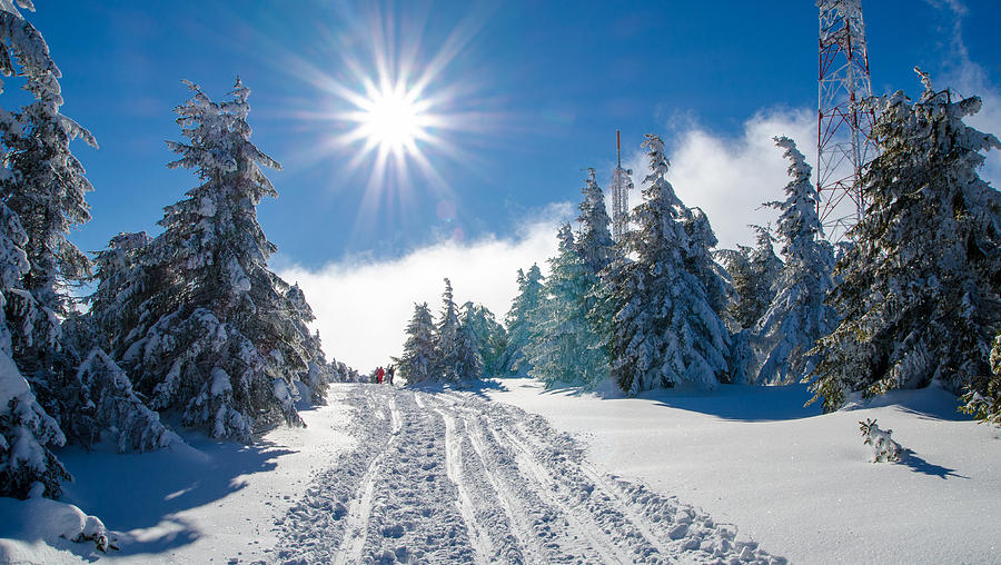 Christmas Photograph - Transylvania in winter by Botond Buzas