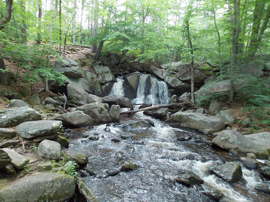 Trap Falls and Brook Photograph by Catherine Gagne