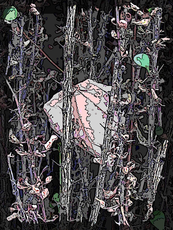 Trapped 2 Digital Art by Tim Allen