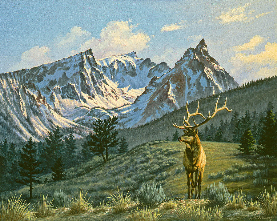 Mountain Painting - Trapper Peak - Bull Elk by Paul Krapf