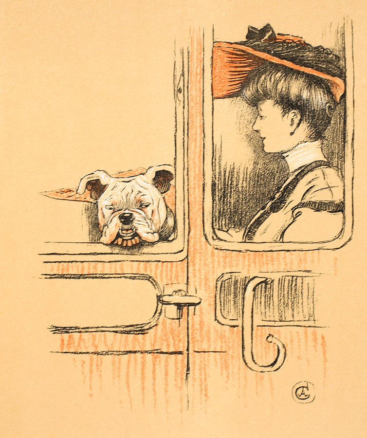 Dog Painting - Traveling in First Class by Cecil Charles Windsor Aldin