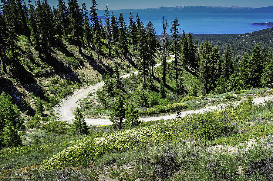 Landscape Photograph - Traveling the Mt. Rose Highway Scenic Overlook hiking trail by LeeAnn McLaneGoetz McLaneGoetzStudioLLCcom