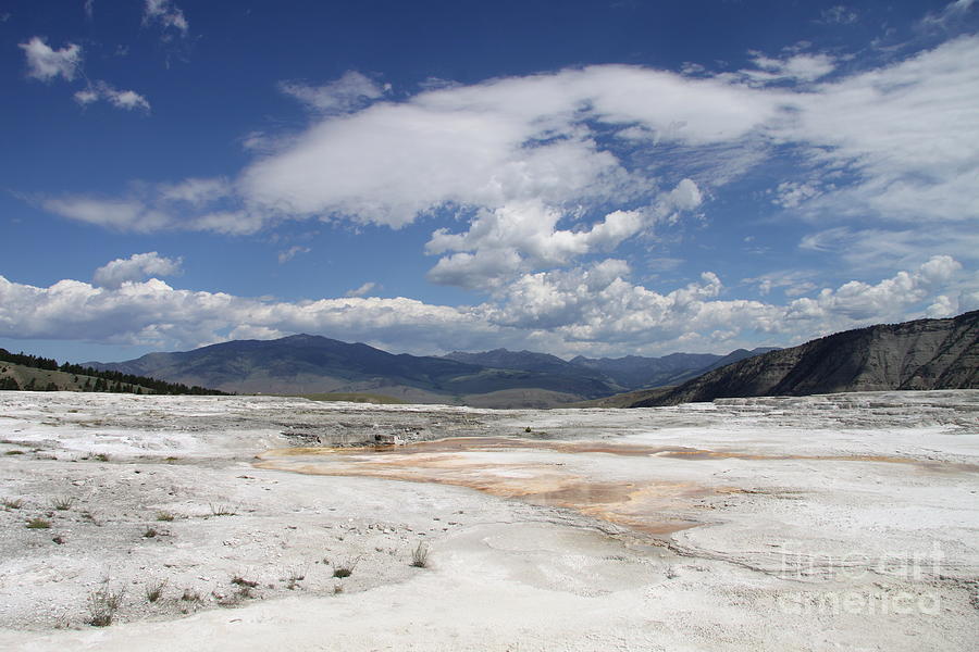 Travertine Hill Of Mammoth Hot Springs  Photograph by Christiane Schulze Art And Photography