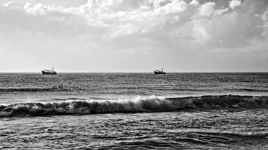 Nature Photograph - Trawling the Horizon by Kantilal Patel