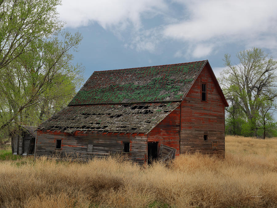 Treasure County Barn Photograph by Leland D Howard