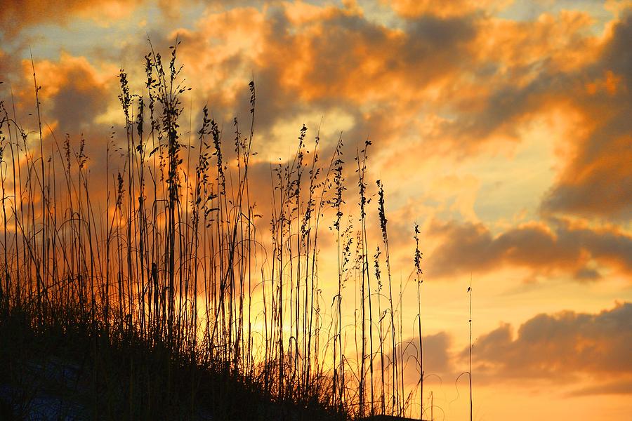 Treasure Island Sunset Photograph by Oscar Alvarez Jr