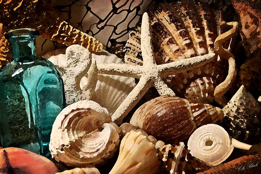 Shell Painting - Treasures from the Sea by Cole Black