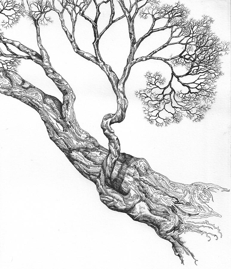 Tree 16 Digital Art by Brian Kirchner