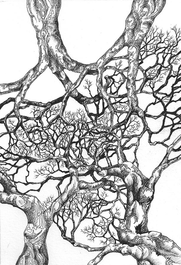 Tree 18 Digital Art by Brian Kirchner